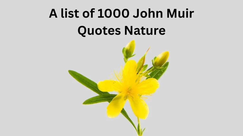 John Muir Quotes Nature