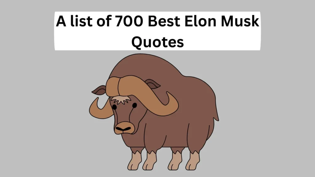 Best Elon Musk Quotes