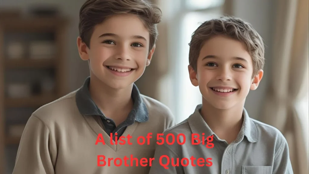 Big Brother Quotes