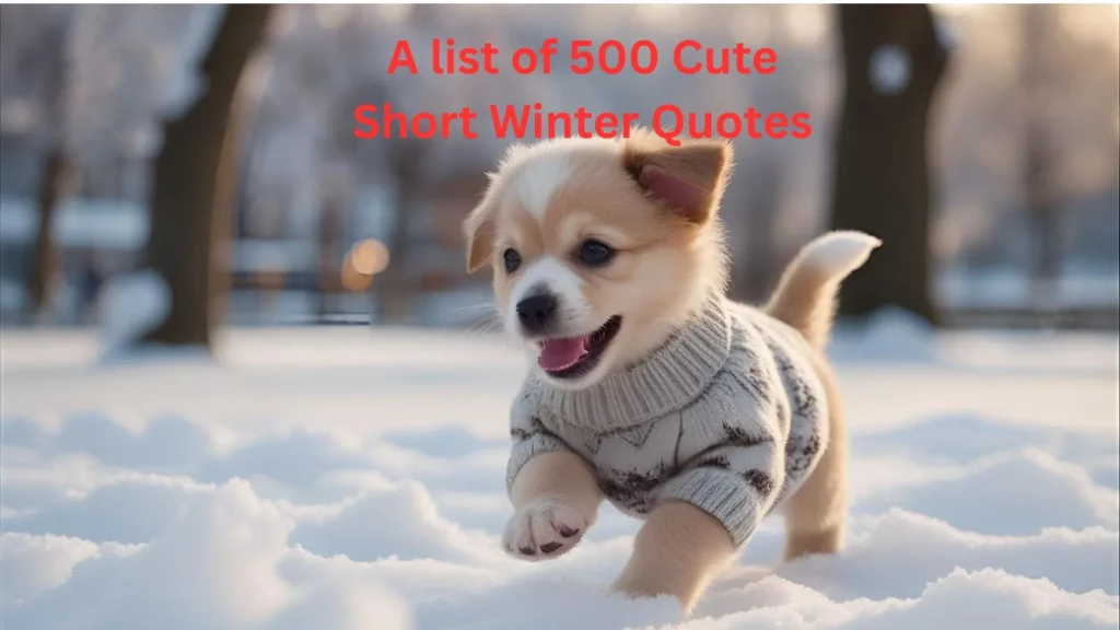 Cute Short Winter Quotes