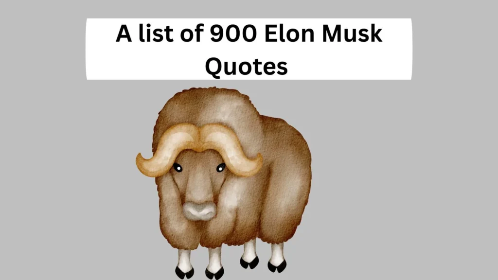 Elon Musk Quotes