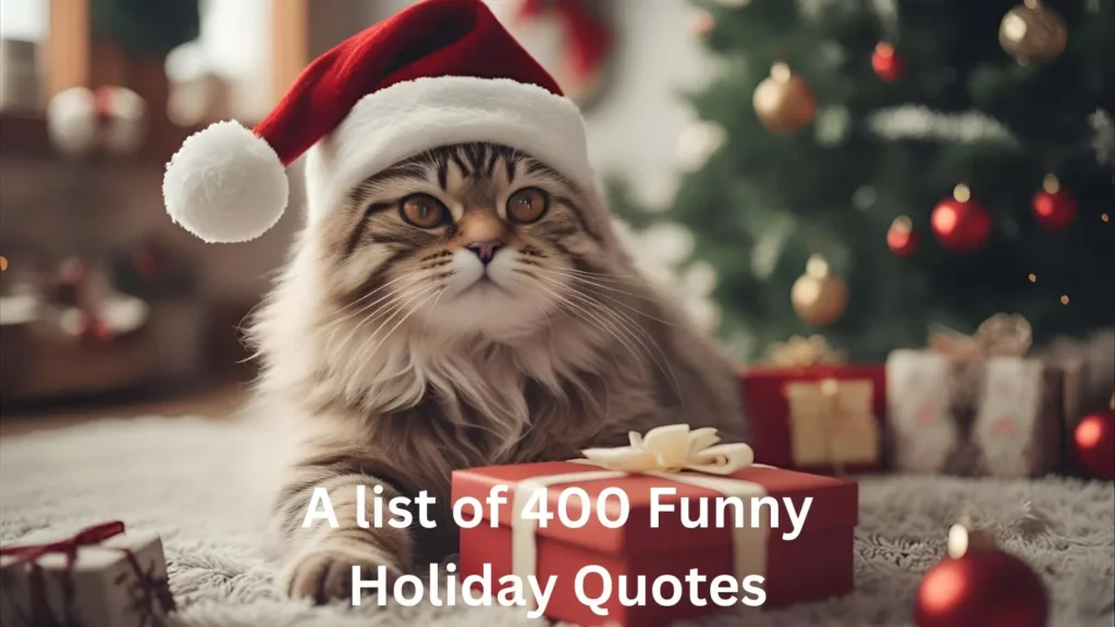 Funny Holiday Quotes