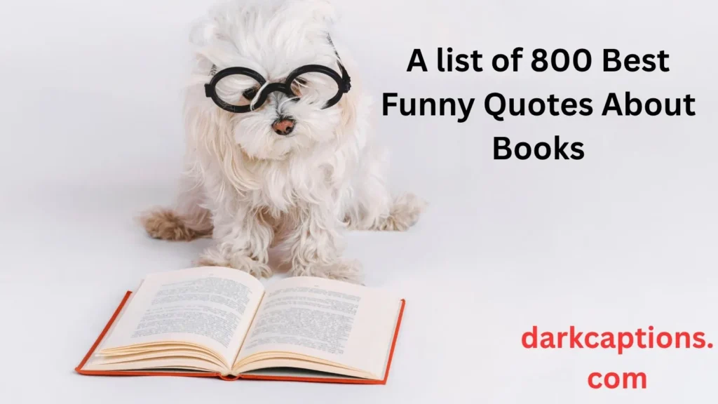 Funny Quotes About Books