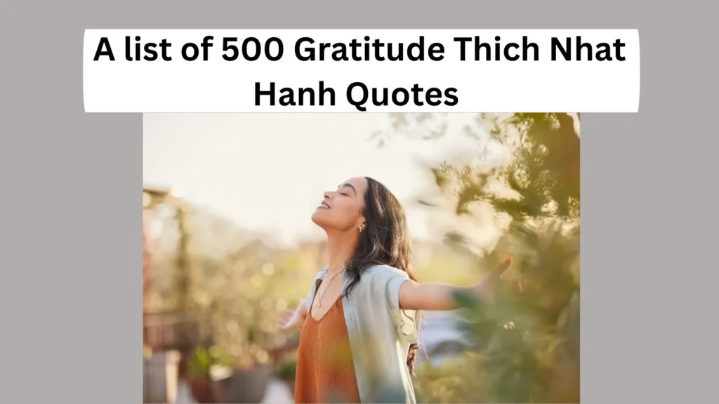 Gratitude Thich Nhat Hanh Quotes