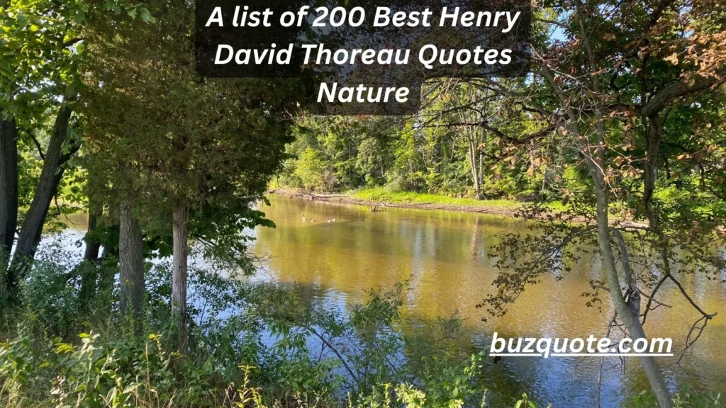 Henry David Thoreau Quotes Nature