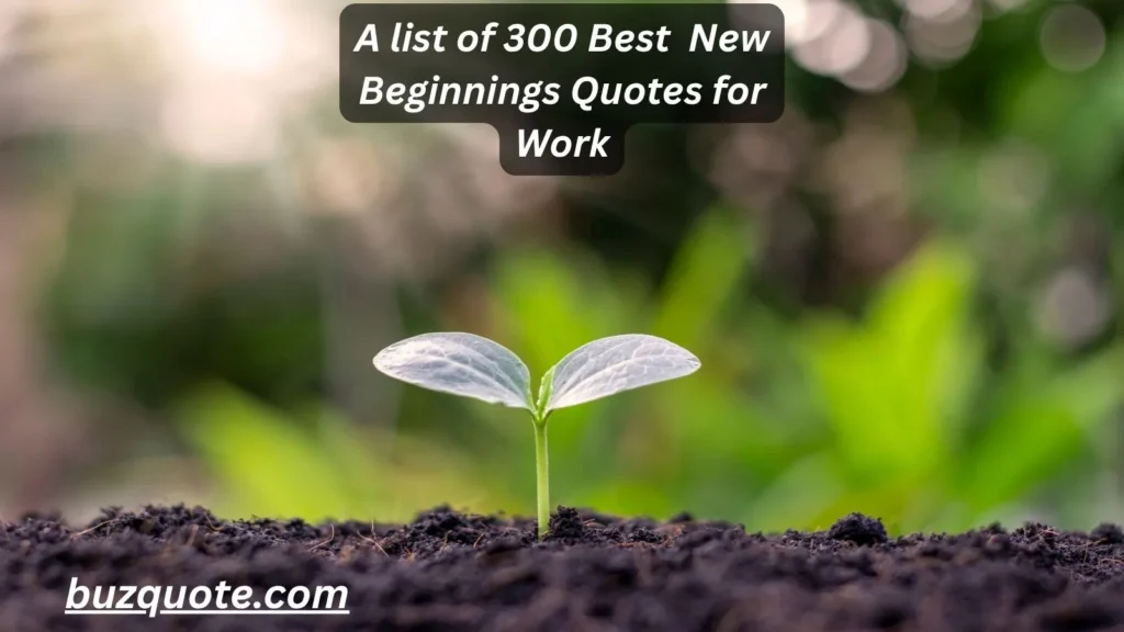New Beginnings Quotes for Work