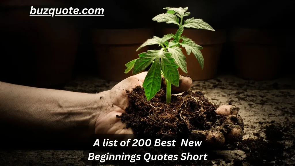 New Beginnings Quotes Short