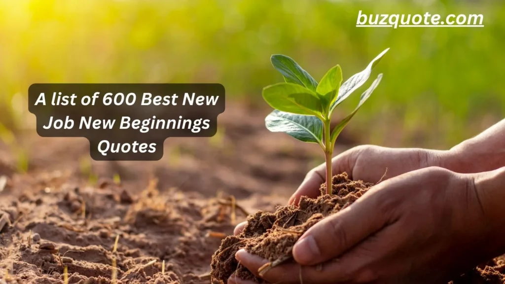 New Job New Beginnings Quotes