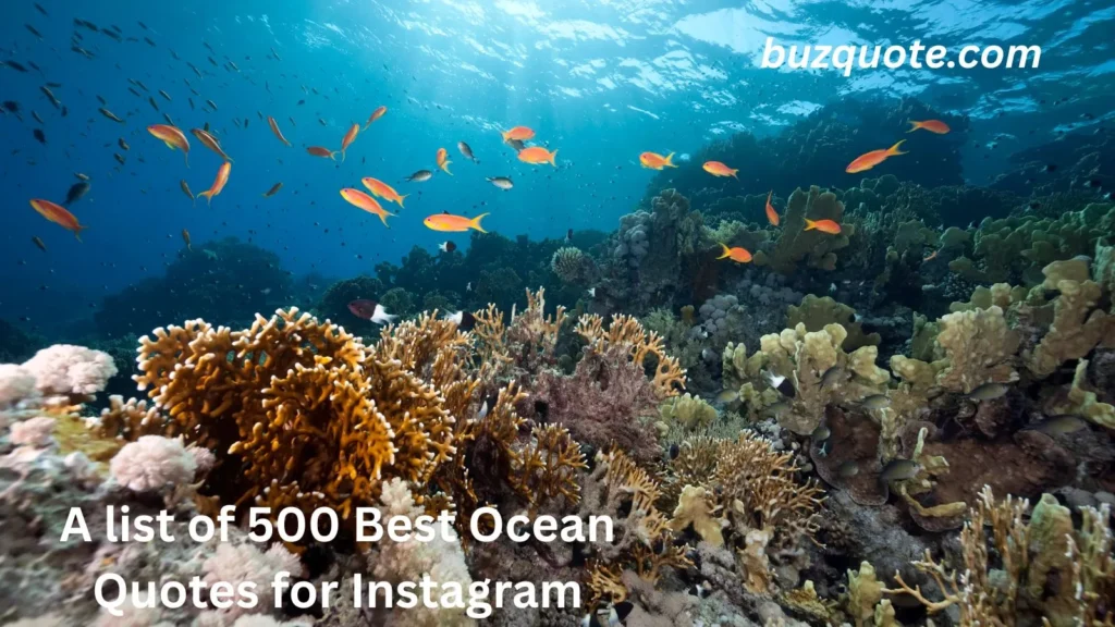Ocean Quotes for Instagram