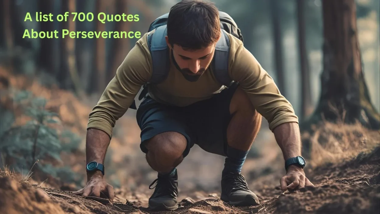 Quotes About Perseverance