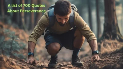 Quotes About Perseverance