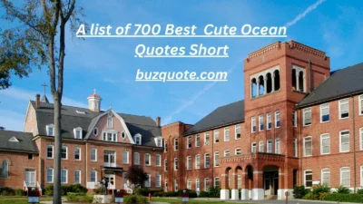 School Quotes
