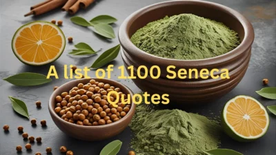 Seneca Quotes