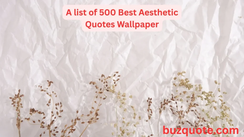 Aesthetic Quotes Wallpaper