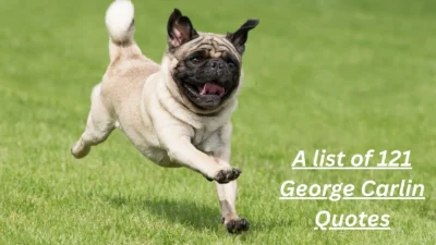 George Carlin Quotes