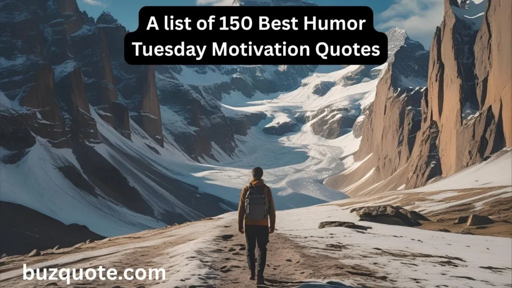 Humor Tuesday Motivation Quotes