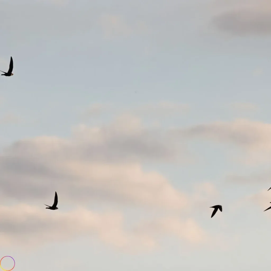 Iconic Taylor Swift Lyrics Quotes