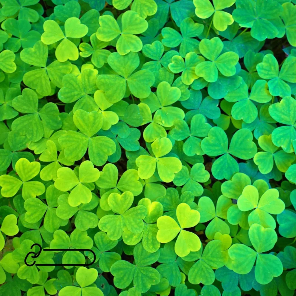 Inspirational St Patricks Day Quotes