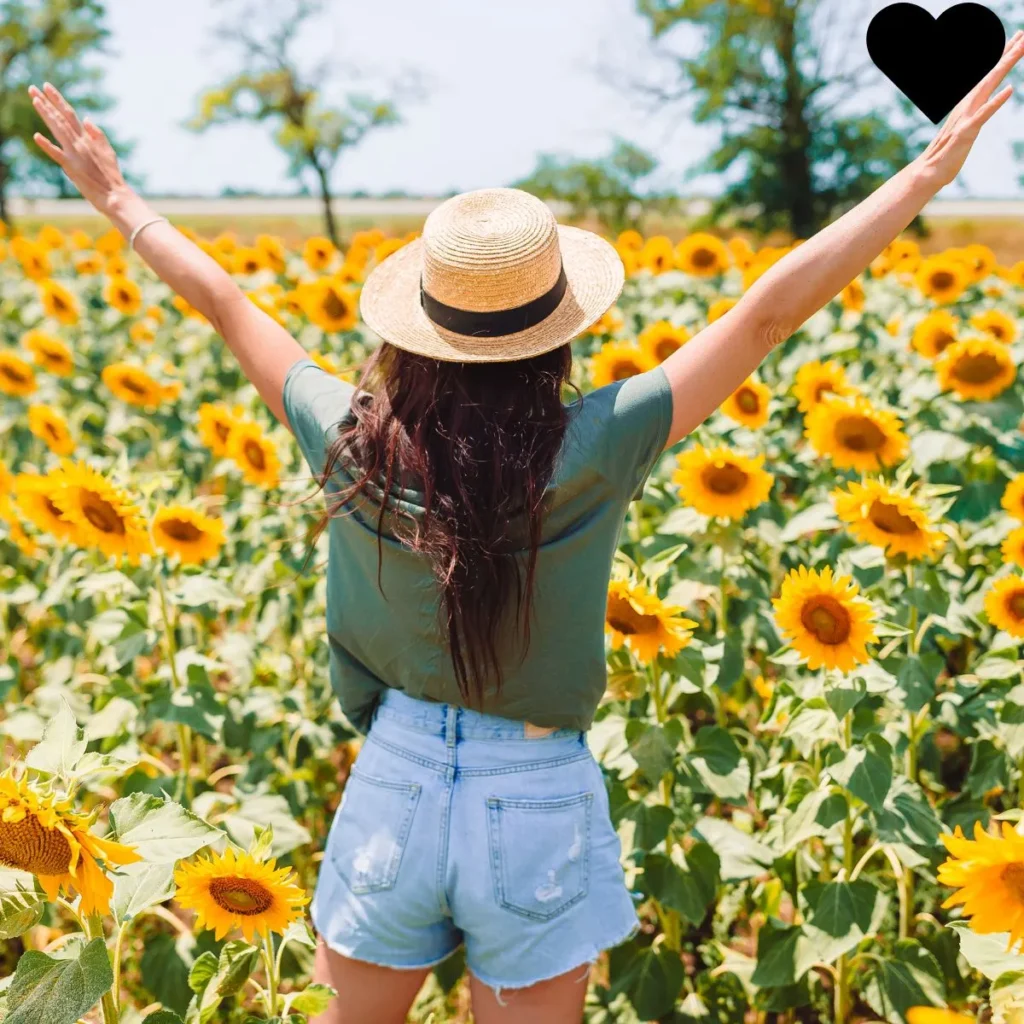 Positive Sunflower Quotes Short