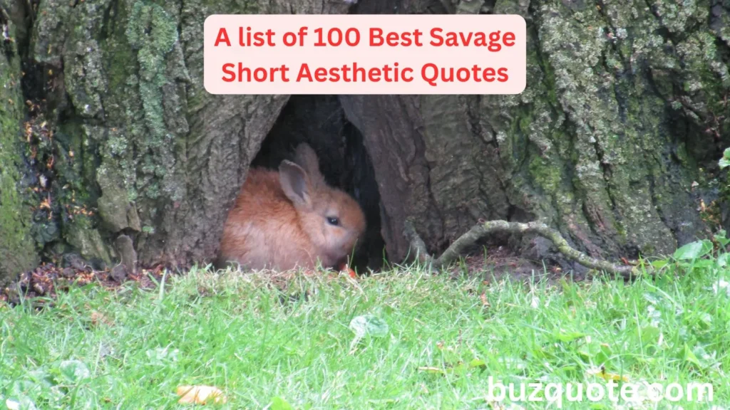 Savage Short Aesthetic Quotes