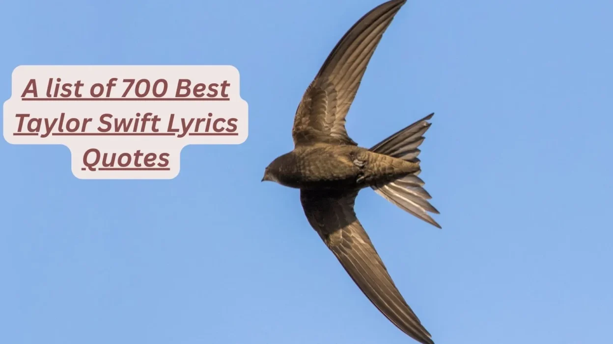Taylor Swift Lyrics Quotes