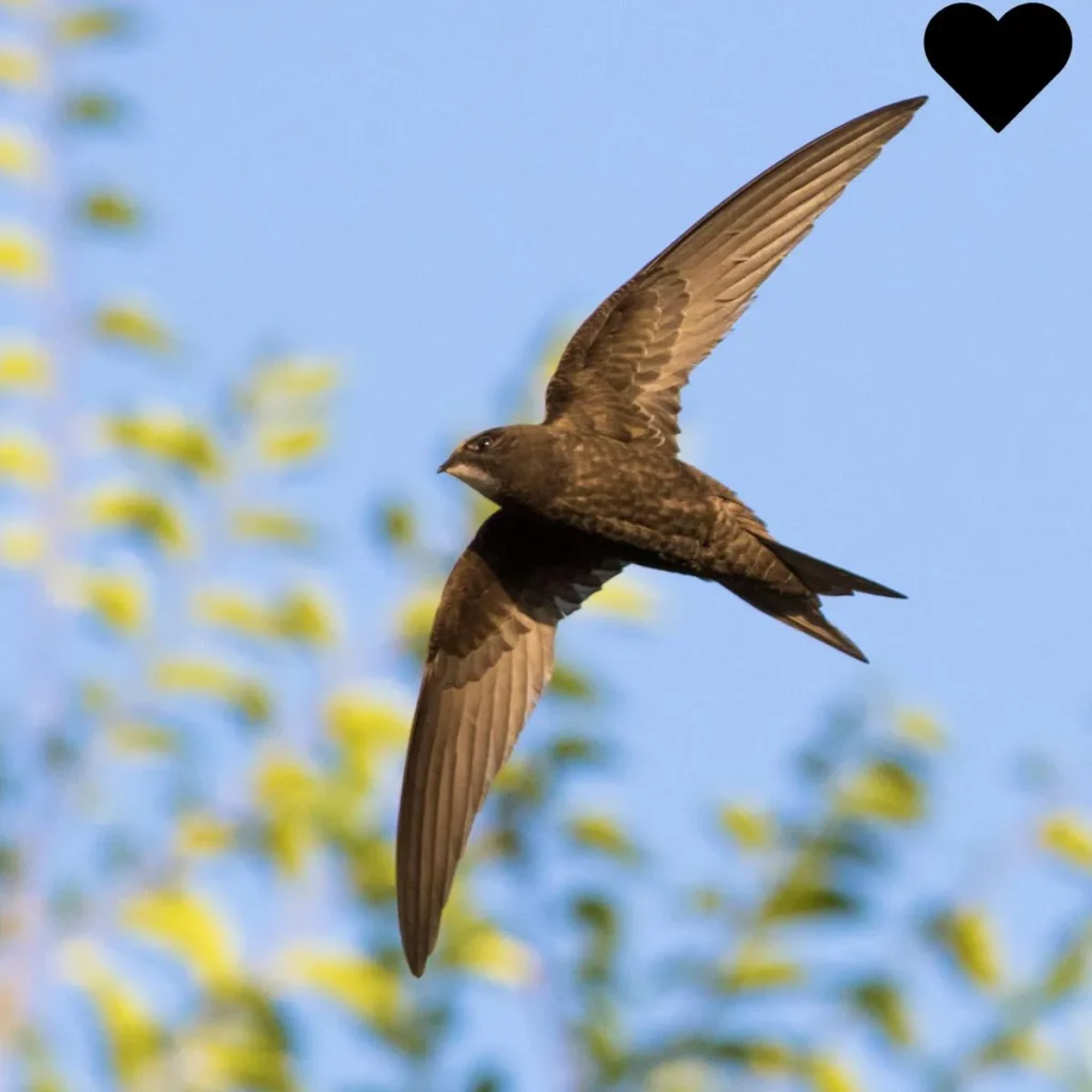 Taylor Swift Lyrics Quotes About Life