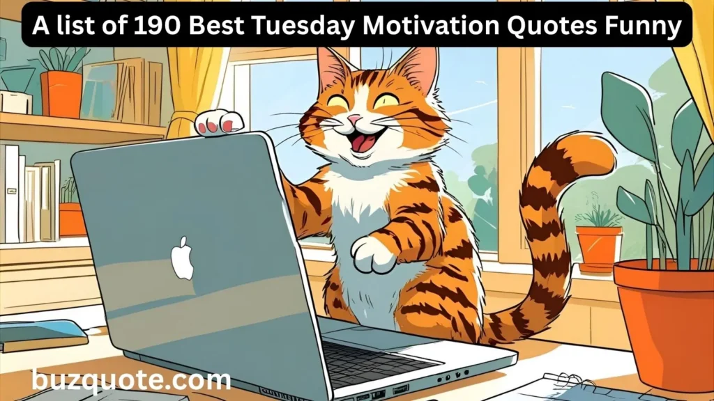 Tuesday Motivation Quotes Funny