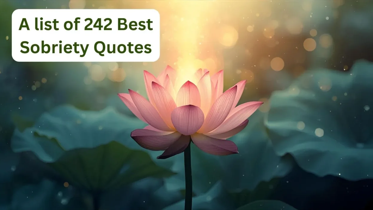Sobriety Quotes