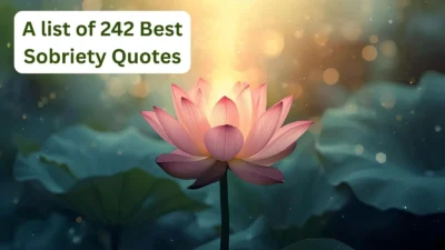 Sobriety Quotes